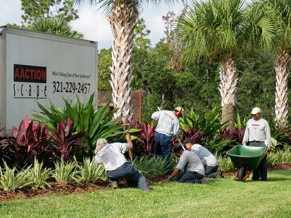 AAction Scape, Inc. landscape project