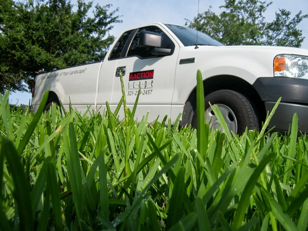 Licensed, Experienced Crews