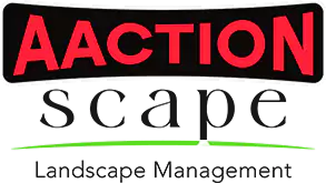 AAction Scape, Inc.